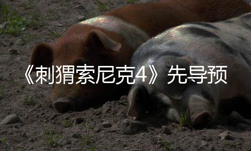 磅新刺先导袭来重空降预告强势猬索尼克角色