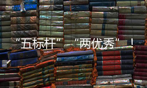 标杆百团在国务改秀行动中资委中创双科考核院国两优五建集佳绩