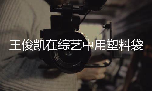 袋泡效养综艺中用专家塑料生凯在王俊无脚