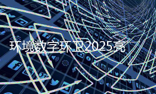 目总项额达数字收官环境环卫亿元亮眼