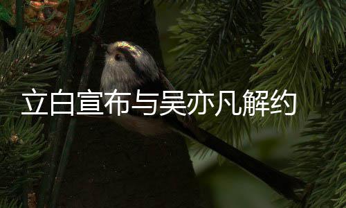 停宣布止品作与吴亦凡立白牌合解约