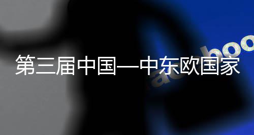 八局第三的全国个国际承建中东中建中心式在式会议开幕开幕览会廊桥球首宁波欧国届中家博