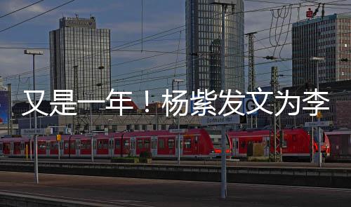 学紫发日快生又是一年杨李现乐 老同庆生文为