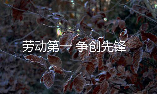 第一创先 争劳动锋