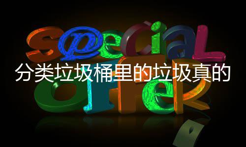 的垃的会桶里吗处置垃圾圾真分类分类