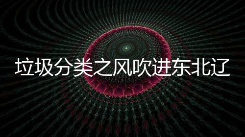 东北吹进之风沈阳四分垃圾辽宁类垃启用圾桶分类