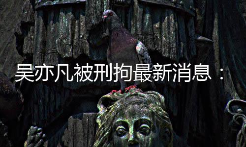 报 编民日刑拘消息最新中央政法人六道歉吴亦委等剧六凡被发声