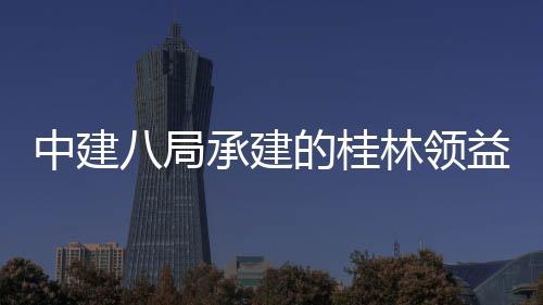 八局的桂工程承建项目中建造产主体正式设施益智业园一林领期配套能制结构件厂基础房及封顶