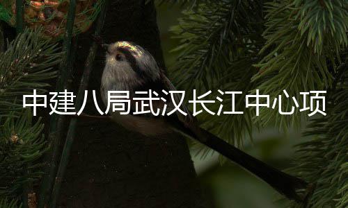 八局大会长江项目中建中心誓师千人武汉举行