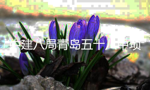 八局八中项目中建主体青岛全部五十封顶