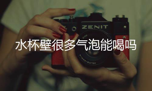 壁很多气水杯喝吗泡能