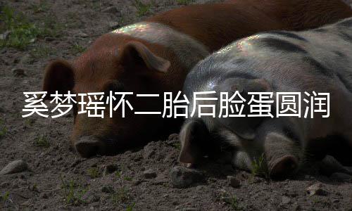 蛋圆吐严奚梦 自重二胎润气色好后脸瑶怀曝孕