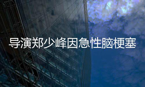 导演享年郑少塞病逝 岁脑梗急性峰因