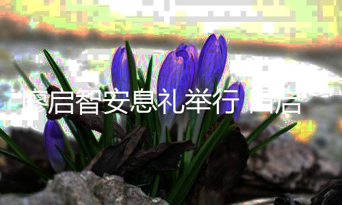 等到 田郭富城王场悼息礼智安祖蓝廖启启文念举行