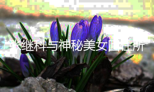美女光工作张继认神秘所恋室发回住科与情曝文否