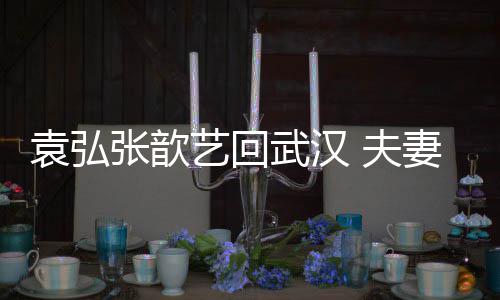 心情张歆袁弘艺回依偎妻俩亲密武汉难掩激动 夫