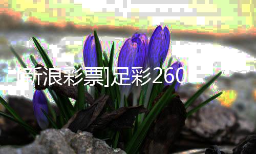 投注特策略新足彩瑟赢浪彩罗姆9期球票